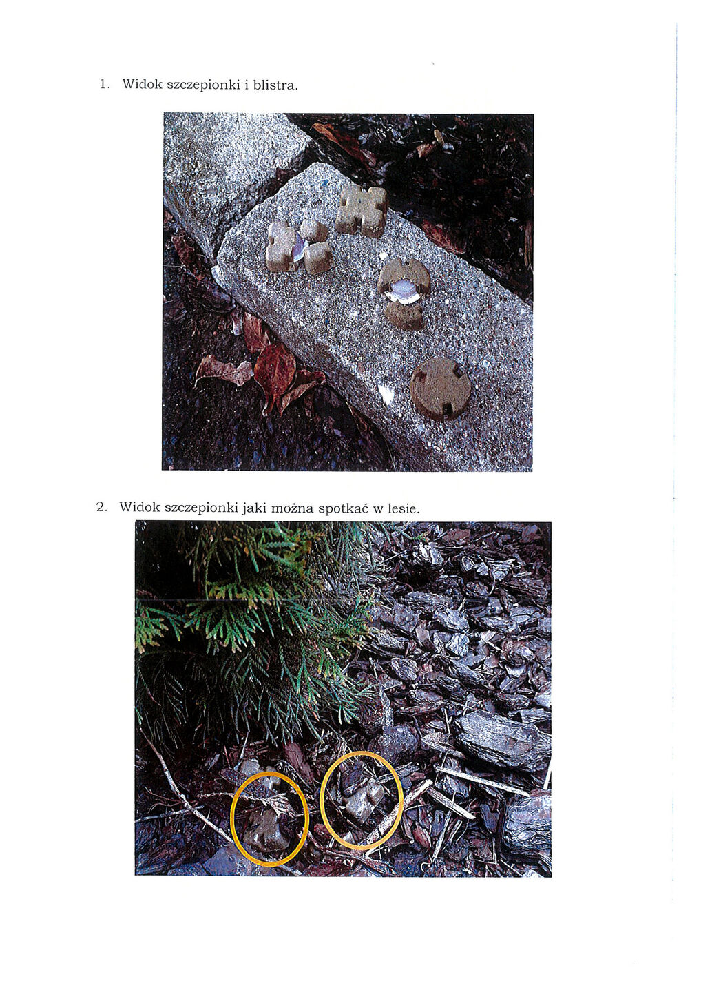 Komunikat w sprawie jesiennej akcji szczepienia lisów wolno żyjących przeciwko wściekliźnie 2025 4