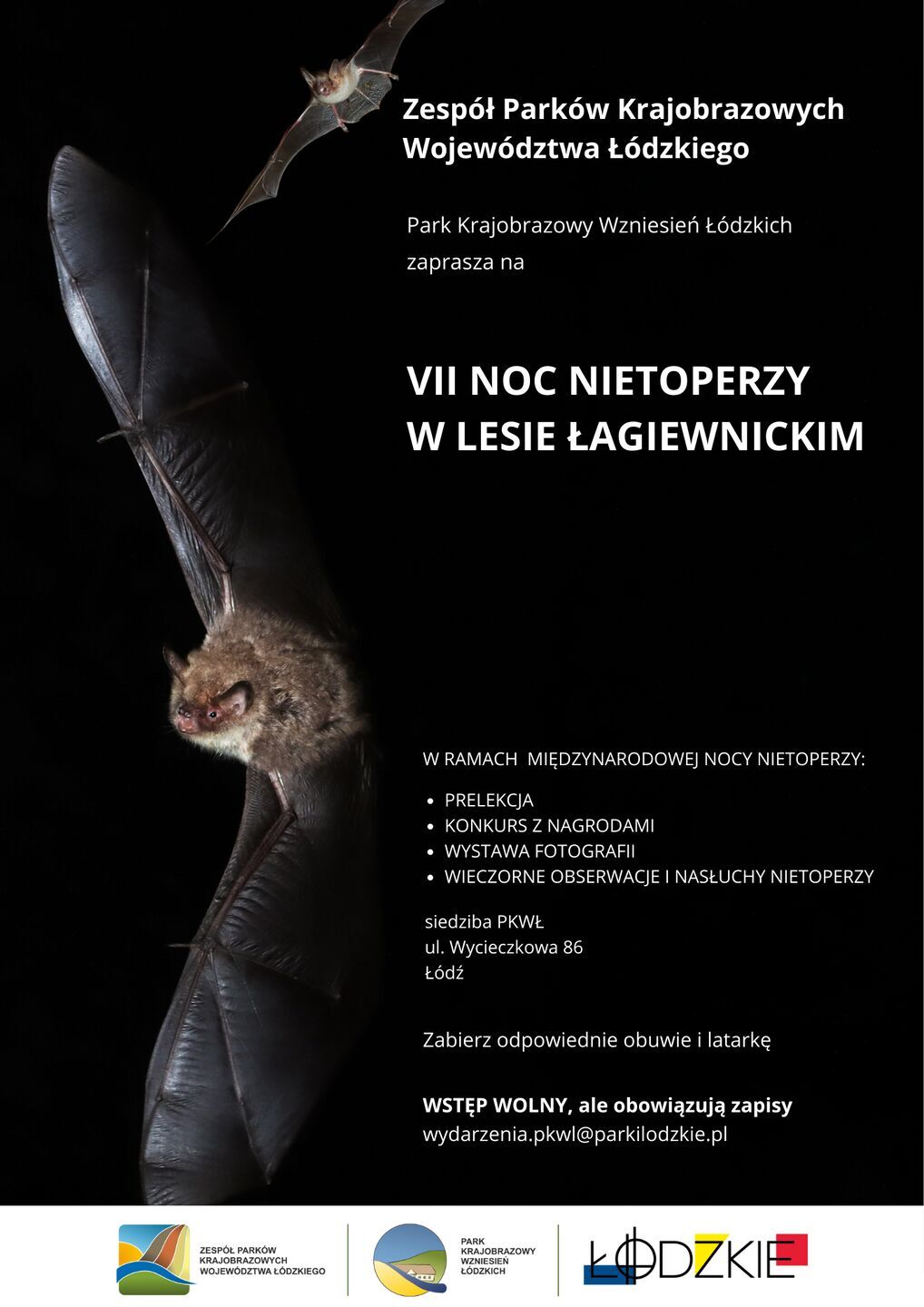 Zaproszenie_na_VII_noc_nietoperzy.jpeg