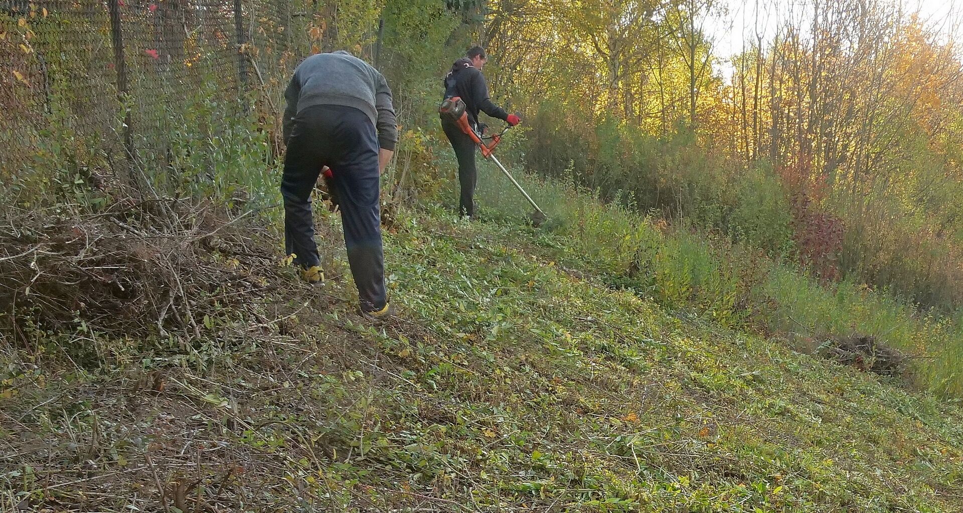 Zawilec koszenie 23.10.25 15b