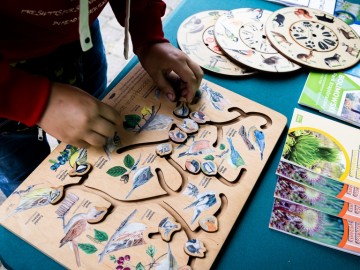 Święto Plonów w Przedborzu – Relacja z Dożynek Gminno-Parafialnych 2025, 