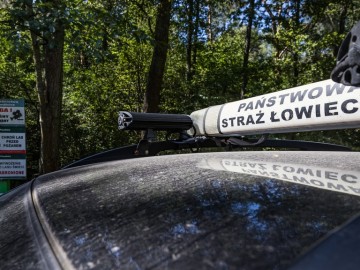 Letnie działania w Przedborskim Parku Krajobrazowym 2025, 