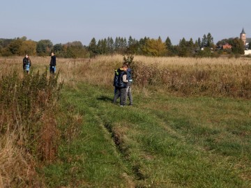 Akcja #SprzątamyDlaPolski X edycja w Przedborzu, 