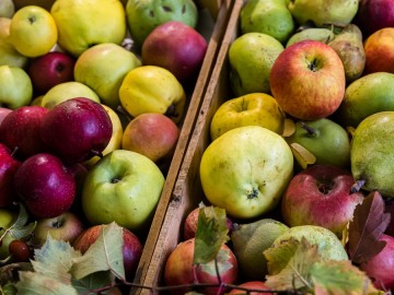 Szkolenie sadownicze w Przedborskim Parku Krajobrazowym 2025, 