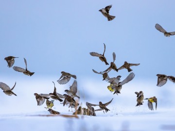 Zimowe obrazy w PPK 2026., 