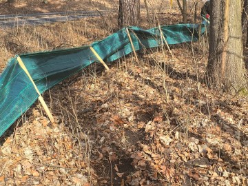 Relacja z montowania bariery herpetologicznej, 