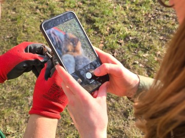 Relacja z montowania bariery herpetologicznej, 