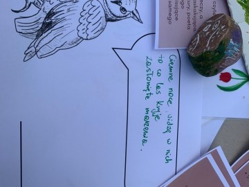 Relacja z pikniku rodzinnego w Dąbrówce Dużej, 