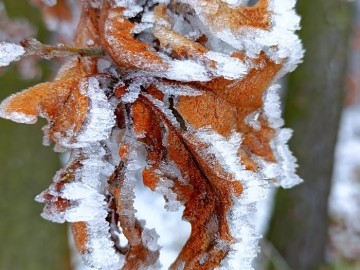 48 lat Załęczańskiego Parku Krajobrazowego, <p>Fot. M. Ignaczak</p>