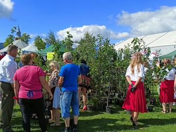 Dożynki Województwa Łódzkiego w Buczku, 