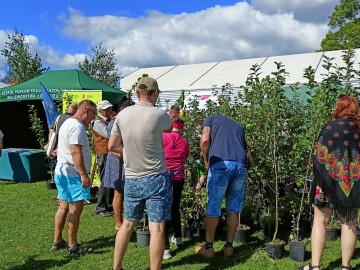 Dożynki Województwa Łódzkiego w Buczku, 