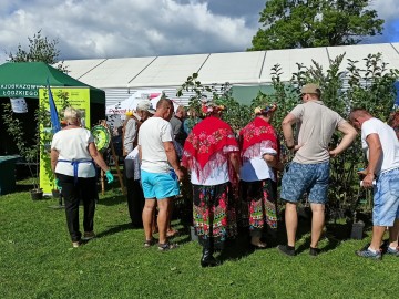 Dożynki Województwa Łódzkiego w Buczku, 