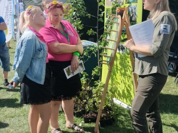 Dożynki Województwa Łódzkiego w Buczku, 