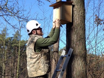 Czyszczenie budek lęgowych w naszych parkach, 