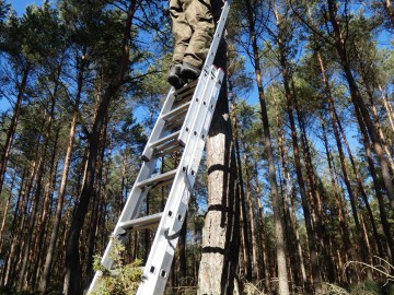 Czyszczenie budek lęgowych w naszych parkach, 