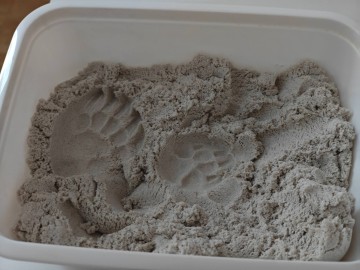 632127744_1340132344809140_3381324175394385942_n, 