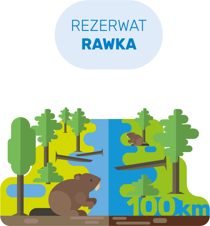 infografika bpk
